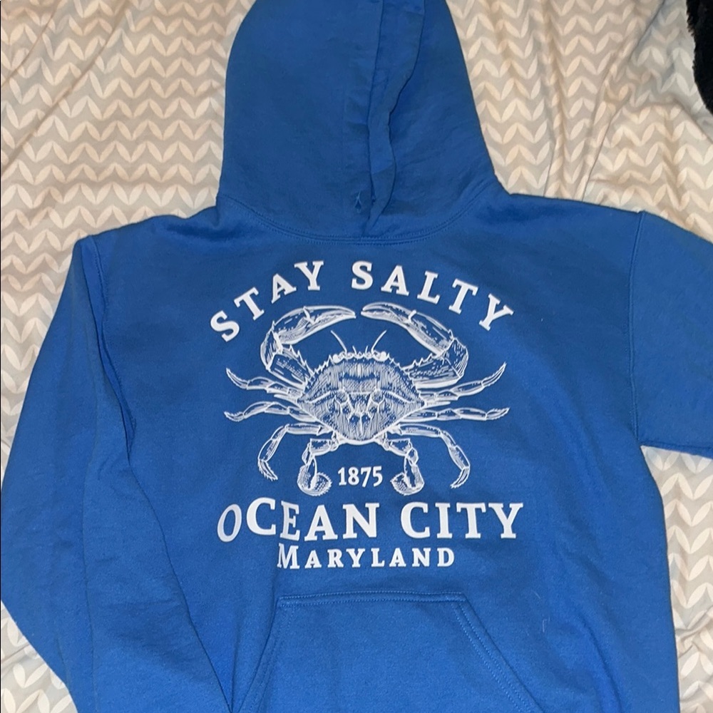 Blue 'Stay Salty' Hoodie